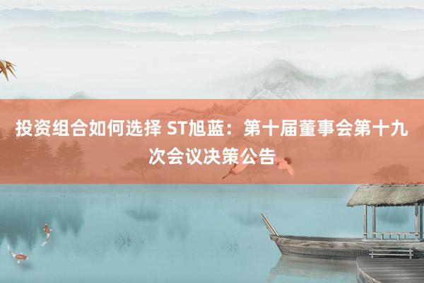 投资组合如何选择 ST旭蓝：第十届董事会第十九次会议决策公告