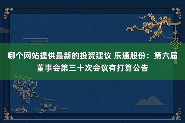 哪个网站提供最新的投资建议 乐通股份：第六届董事会第三十次会议有打算公告