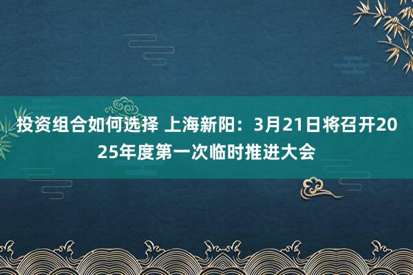 投资组合如何选择 上海新阳：3月21日将召开2025年度第一次临时推进大会