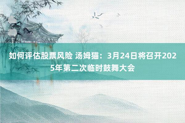 如何评估股票风险 汤姆猫：3月24日将召开2025年第二次临时鼓舞大会