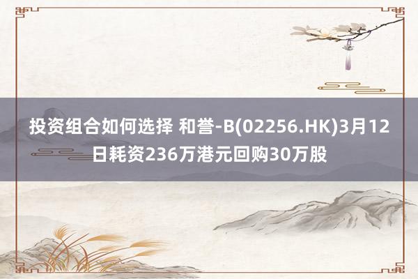 投资组合如何选择 和誉-B(02256.HK)3月12日耗资236万港元回购30万股