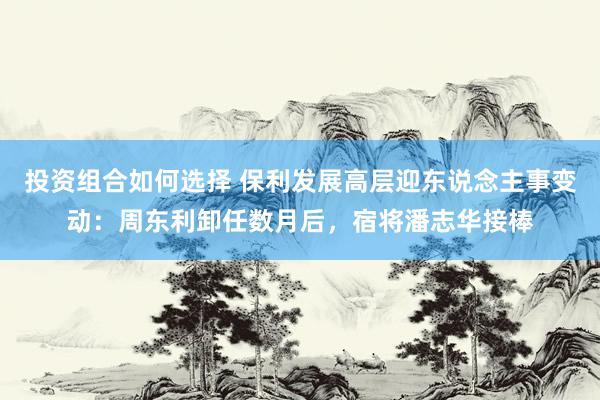 投资组合如何选择 保利发展高层迎东说念主事变动：周东利卸任数月后，宿将潘志华接棒