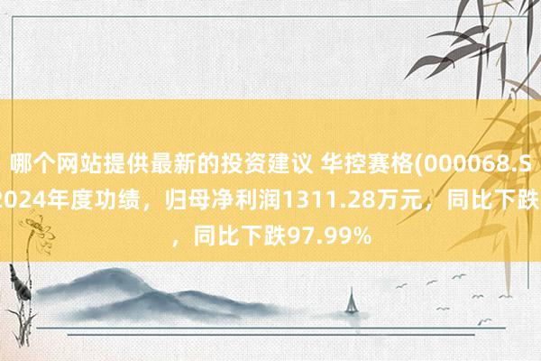 哪个网站提供最新的投资建议 华控赛格(000068.SZ)发布2024年度功绩，归母净利润1311.28万元，同比下跌97.99%