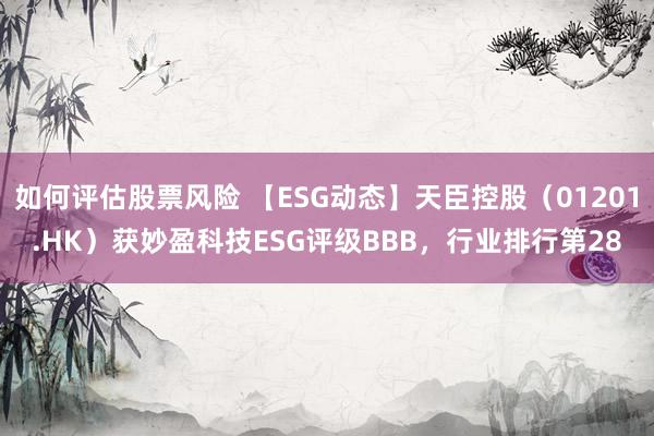 如何评估股票风险 【ESG动态】天臣控股（01201.HK）获妙盈科技ESG评级BBB，行业排行第28