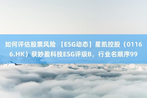 如何评估股票风险 【ESG动态】星凯控股（01166.HK）获妙盈科技ESG评级B，行业名顺序99