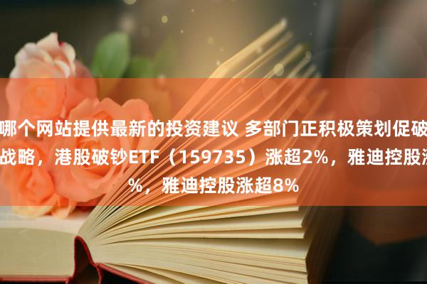 哪个网站提供最新的投资建议 多部门正积极策划促破钞相应战略，港股破钞ETF（159735）涨超2%，雅迪控股涨超8%