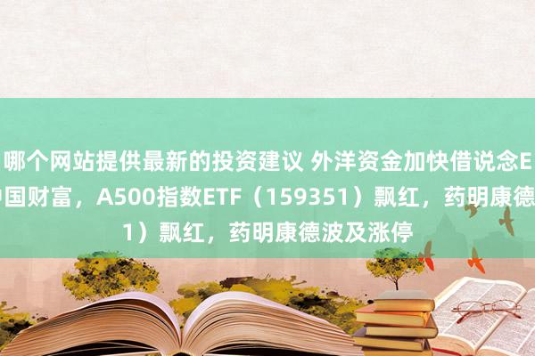 哪个网站提供最新的投资建议 外洋资金加快借说念ETF布局中国财富，A500指数ETF（159351）飘红，药明康德波及涨停