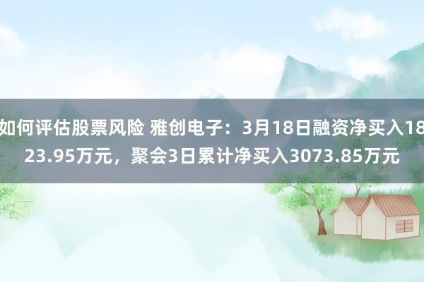 如何评估股票风险 雅创电子：3月18日融资净买入1823.95万元，聚会3日累计净买入3073.85万元